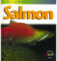 Life Cycle of a Salmon